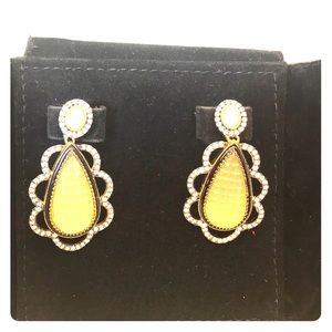 Absolutely gorgeous earrings!